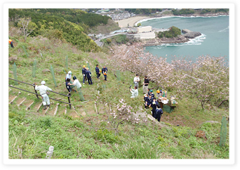 自然環境保全活動（広葉樹植栽等） 写真1