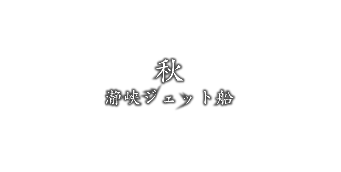 秋 瀞峡ジェット船