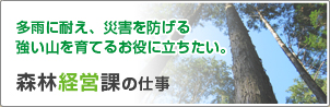 多雨に耐え、災害を防げる強い山を育てるお役に立ちたい。森林経営課の仕事