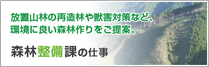 放置山林の再造林や獣害対策など、環境に良い森林作りをご提案。森林整備課の仕事