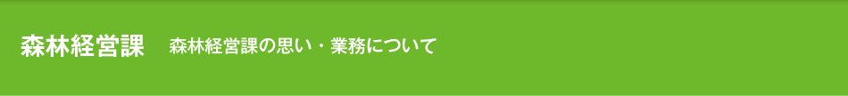 森林経営課　森林経営課の思い・業務について